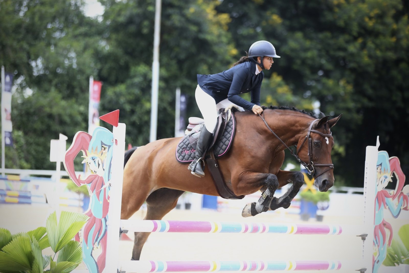 Show jumping
