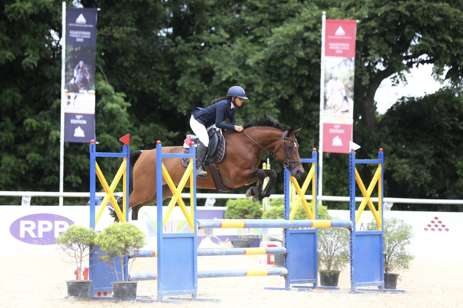 Show jumping over a fence